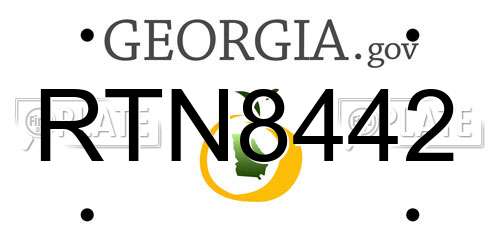 RTN8442 Georgia License Plate