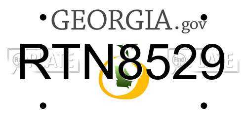 RTN8529 Georgia License Plate