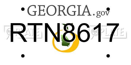 RTN8617 Georgia License Plate