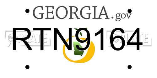 RTN9164 Georgia License Plate