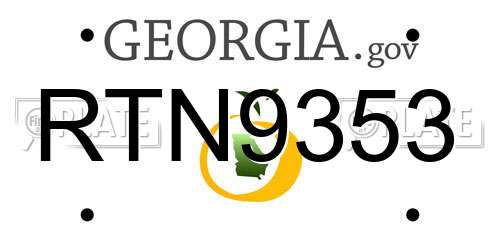 RTN9353 Georgia License Plate