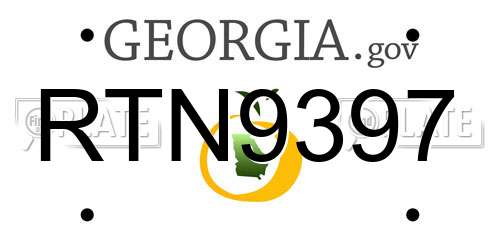 RTN9397 Georgia License Plate