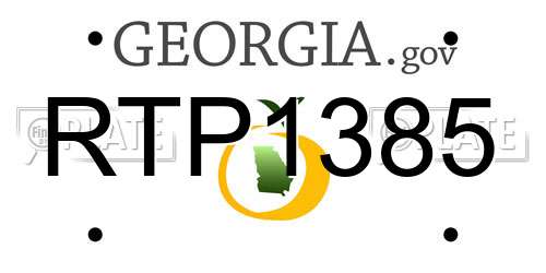 RTP1385 Georgia License Plate