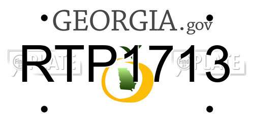 RTP1713 Georgia License Plate