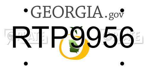 RTP9956 Georgia License Plate