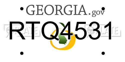RTQ4531 Georgia License Plate