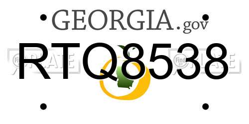 RTQ8538 Georgia License Plate