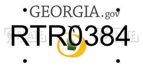 RTR0384 Georgia License Plate