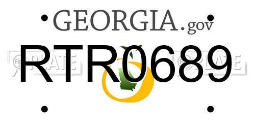 RTR0689 Georgia License Plate