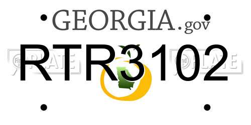 RTR3102 Georgia License Plate