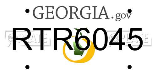 RTR6045 Georgia License Plate