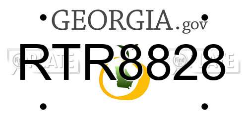 RTR8828 Georgia License Plate