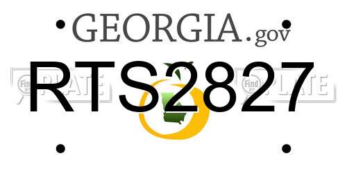 RTS2827 Georgia License Plate