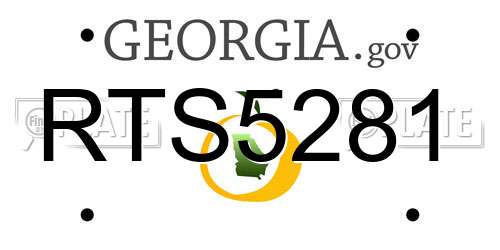 RTS5281 Georgia License Plate