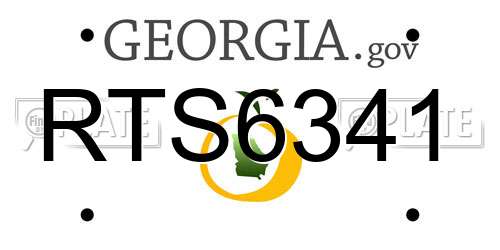 RTS6341 Georgia License Plate