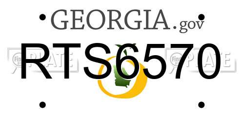 RTS6570 Georgia License Plate