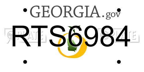 RTS6984 Georgia License Plate
