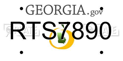 RTS7890 Georgia License Plate