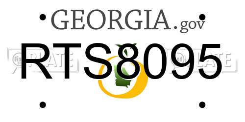 RTS8095 Georgia License Plate