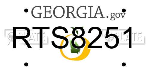 RTS8251 Georgia License Plate
