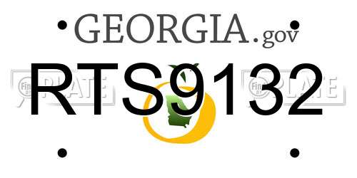 RTS9132 Georgia License Plate