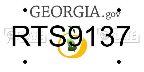 RTS9137 Georgia License Plate