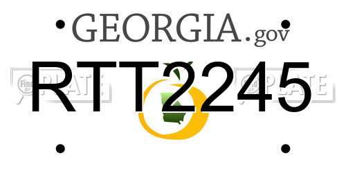 RTT2245 Georgia License Plate