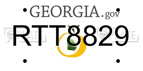 RTT8829 Georgia License Plate