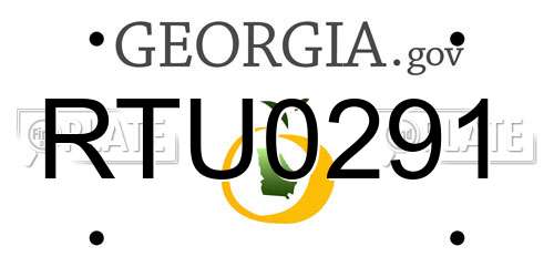 RTU0291 Georgia License Plate