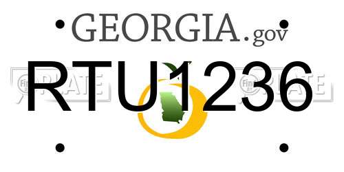 RTU1236 Georgia License Plate