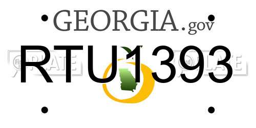 RTU1393 Georgia License Plate