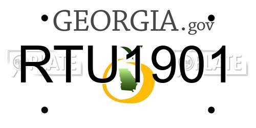RTU1901 Georgia License Plate