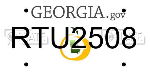 RTU2508 Georgia License Plate
