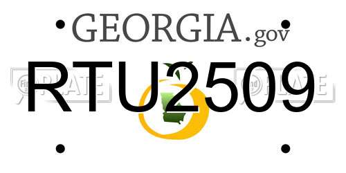 RTU2509 Georgia License Plate