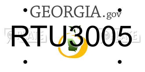 RTU3005 Georgia License Plate