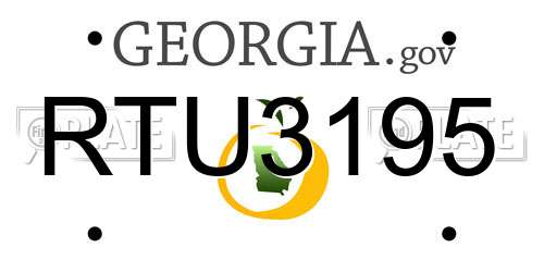 RTU3195 Georgia License Plate