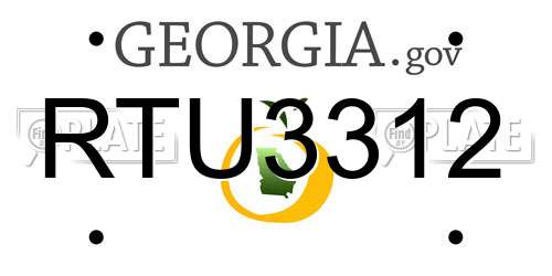 RTU3312 Georgia License Plate