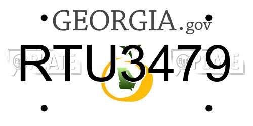 RTU3479 Georgia License Plate