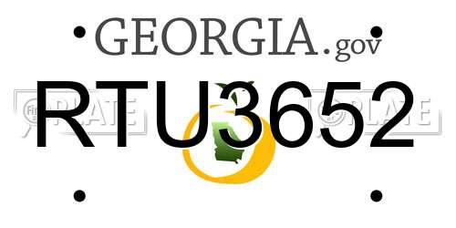 RTU3652 Georgia License Plate