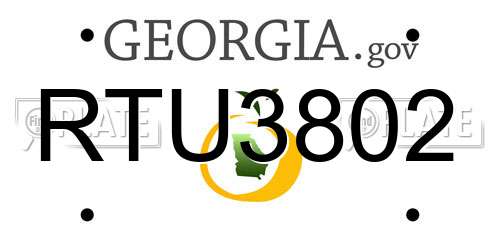 RTU3802 Georgia License Plate