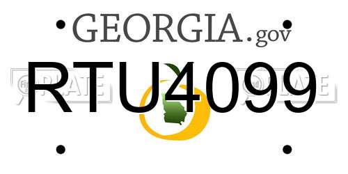 RTU4099 Georgia License Plate