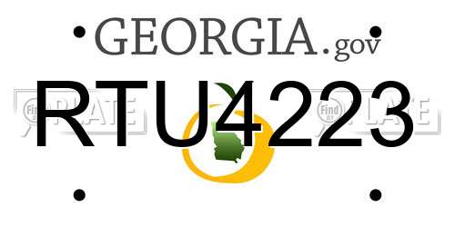 RTU4223 Georgia License Plate