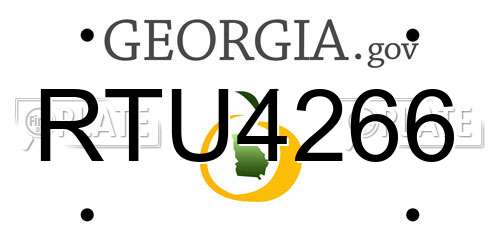 RTU4266 Georgia License Plate