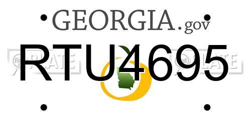 RTU4695 Georgia License Plate
