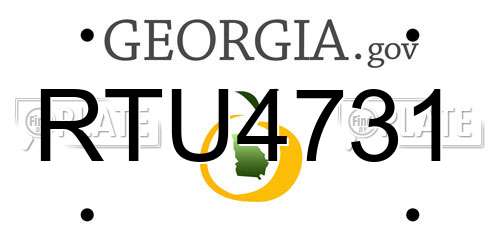 RTU4731 Georgia License Plate