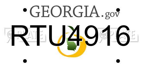 RTU4916 Georgia License Plate