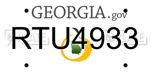 RTU4933 Georgia License Plate