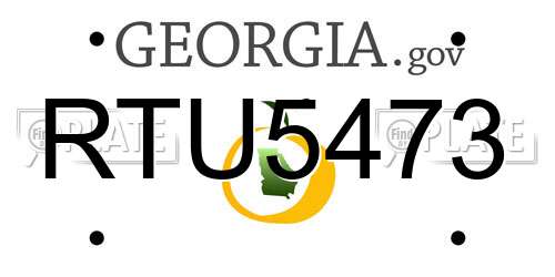 RTU5473 Georgia License Plate