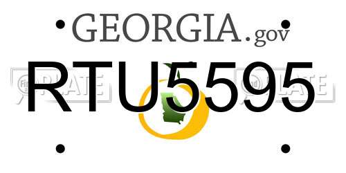RTU5595 Georgia License Plate