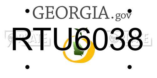 RTU6038 Georgia License Plate